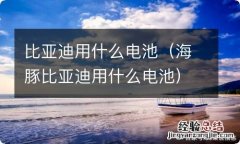 海豚比亚迪用什么电池 比亚迪用什么电池