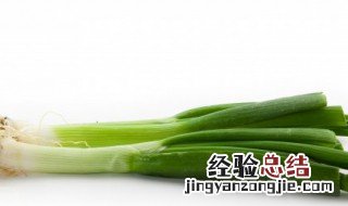 小葱头怎么种植方法最好 小葱头怎么种