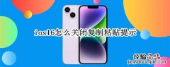 ios16怎么关闭粘贴提醒 ios14.1怎么关闭粘贴提示