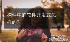 构件中的软件开发式怎样的？