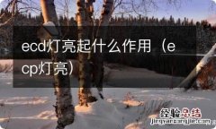 ecp灯亮 ecd灯亮起什么作用