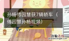 傅园慧孙杨视频 孙杨傅园慧获7辆轿车