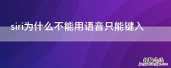 siri为什么不能用语音只能键入