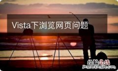 Vista下浏览网页问题