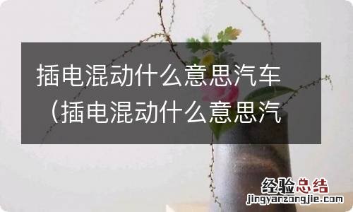 插电混动什么意思汽车上什么牌 插电混动什么意思汽车