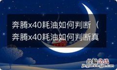 奔腾x40耗油如何判断真假 奔腾x40耗油如何判断