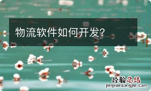 物流软件如何开发？