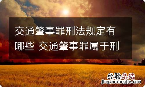 交通肇事罪刑法规定有哪些 交通肇事罪属于刑事罪吗