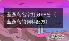 蓝燕鸟的饲料配方 蓝燕鸟名字打分98分