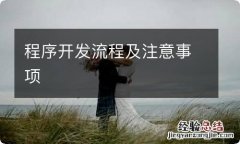 程序开发流程及注意事项