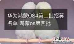 华为鸿蒙OS4第二批招募名单 鸿蒙os第四批