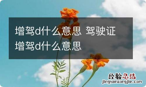 增驾d什么意思 驾驶证增驾d什么意思