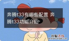 奔腾t33有哪些配置 奔腾t33功能介绍