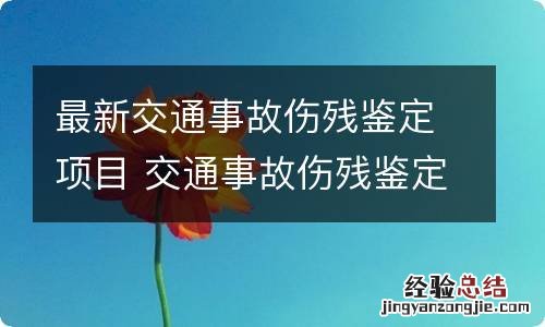 最新交通事故伤残鉴定项目 交通事故伤残鉴定结果