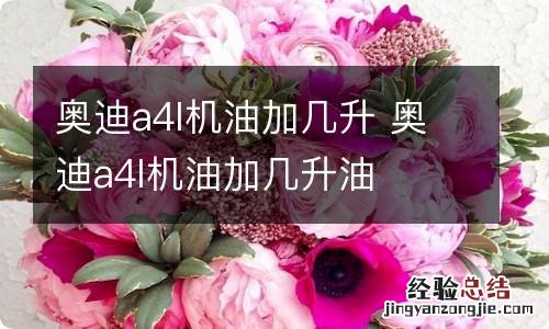 奥迪a4l机油加几升 奥迪a4l机油加几升油