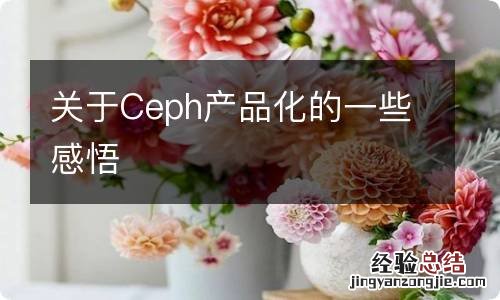 关于Ceph产品化的一些感悟