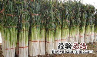 山东济南特产有哪些土特产 关于山东济南的土特产有哪些
