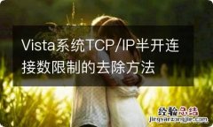 Vista系统TCP/IP半开连接数限制的去除方法