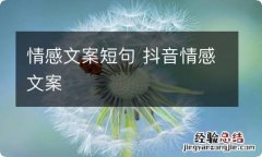 情感文案短句 抖音情感文案