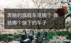 奔驰的旗舰车是哪个 奔驰哪个旗下的车子