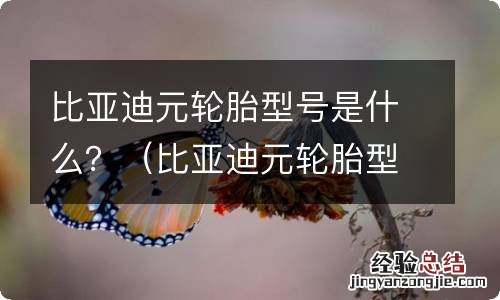 比亚迪元轮胎型号是多少 比亚迪元轮胎型号是什么?