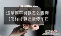 怎样才算违章停车罚款查询 违章停车罚款怎么查询