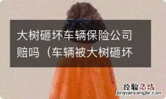 车辆被大树砸坏保险赔吗 大树砸坏车辆保险公司赔吗