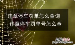 违章停车罚单怎么查询 违章停车罚单号怎么查询