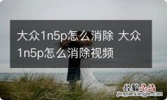 大众1n5p怎么消除 大众1n5p怎么消除视频