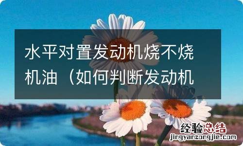 如何判断发动机烧不烧机油 水平对置发动机烧不烧机油