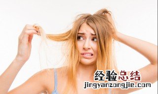 头发干枯怎么护理 可以怎么进行改善