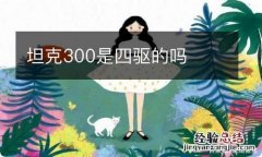 坦克300是四驱的吗