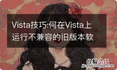 Vista技巧:何在Vista上运行不兼容的旧版本软件