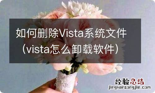 vista怎么卸载软件 如何删除Vista系统文件