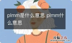 plmm是什么意思 plmm什么意思