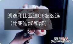 比亚迪g6和g5 朗逸和比亚迪G6怎么选