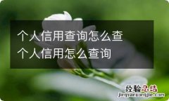 个人信用查询怎么查个人信用怎么查询