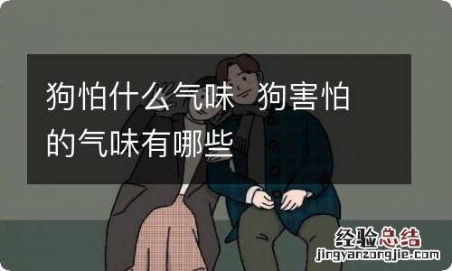 狗怕什么气味狗害怕的气味有哪些