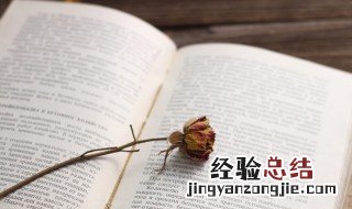 小说里令人惊艳的句子 句句令人动容