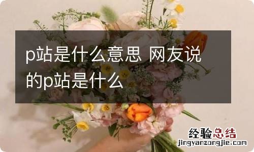 p站是什么意思 网友说的p站是什么