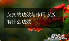 芡实的功效与作用 芡实有什么功效