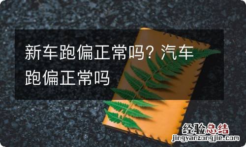 新车跑偏正常吗? 汽车跑偏正常吗