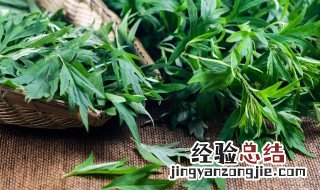 蒿子粑粑怎么保存窍门 蒿子粑粑怎么保存