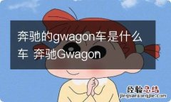 奔驰的gwagon车是什么车 奔驰Gwagon