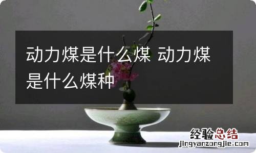 动力煤是什么煤 动力煤是什么煤种