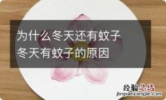 为什么冬天还有蚊子冬天有蚊子的原因