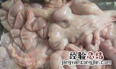 猪生肠腌制方法 猪生肠腌制方法是什么