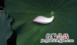 亲人快离世的心情短语 面对亲人即将离世感悟