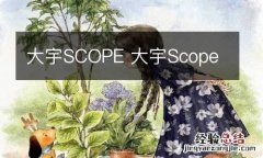 大宇SCOPE 大宇Scope