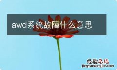 awd系统故障什么意思